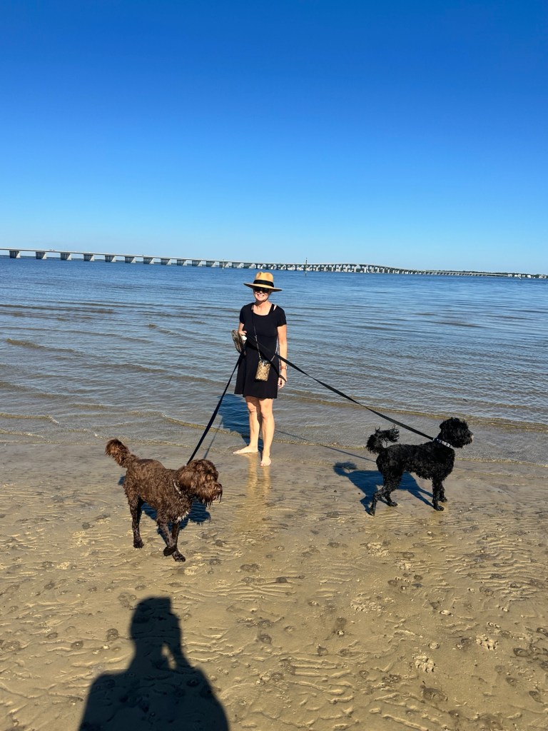 Gulf Shore Mississippi