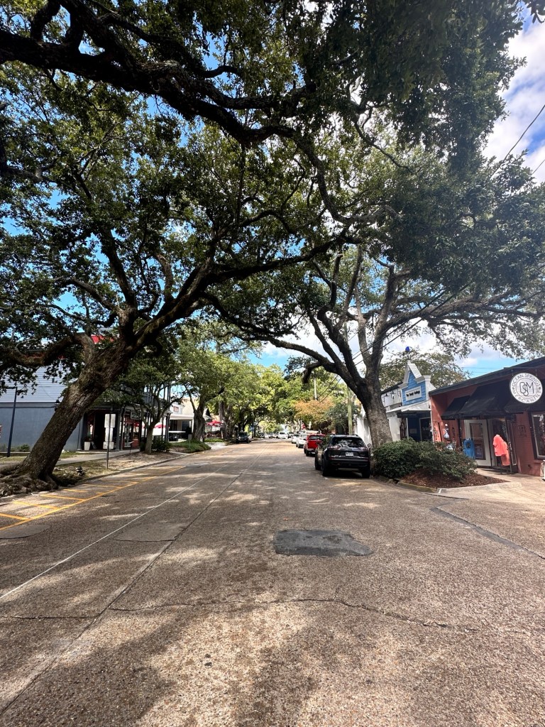 Main street in Ocean Springs Mississippi