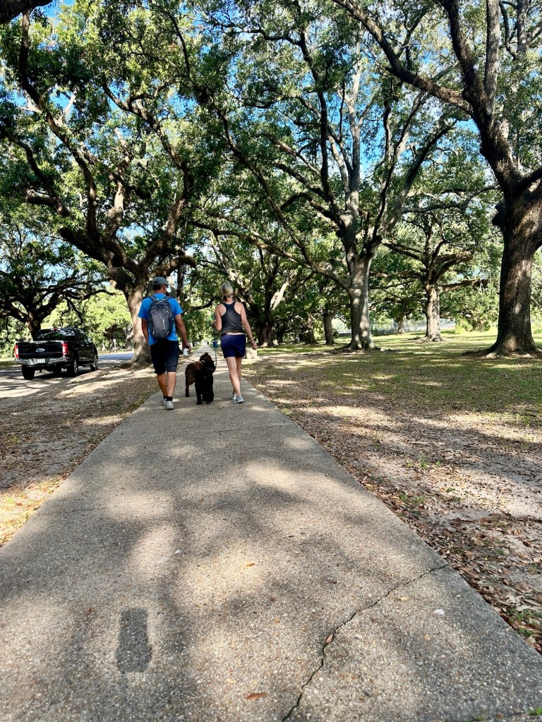 New Orleans City Park